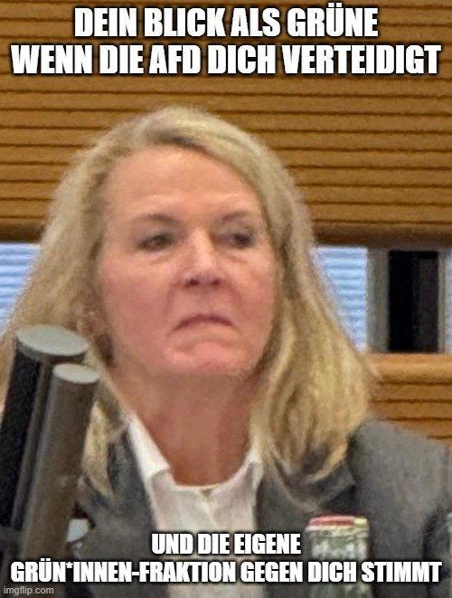 Wenn die AfD eine Grüne verteidigt…